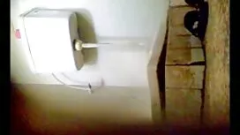 Czech-perubahan pada ...