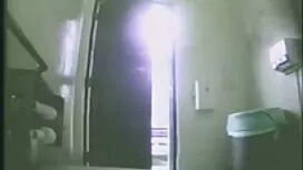 Bijak Priscilla tela ...