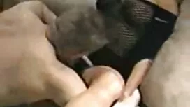 Memata-matai seorang ...
