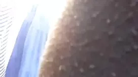Kotor bercinta denga ...