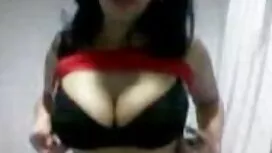 Di dalam kabin bas,  ...